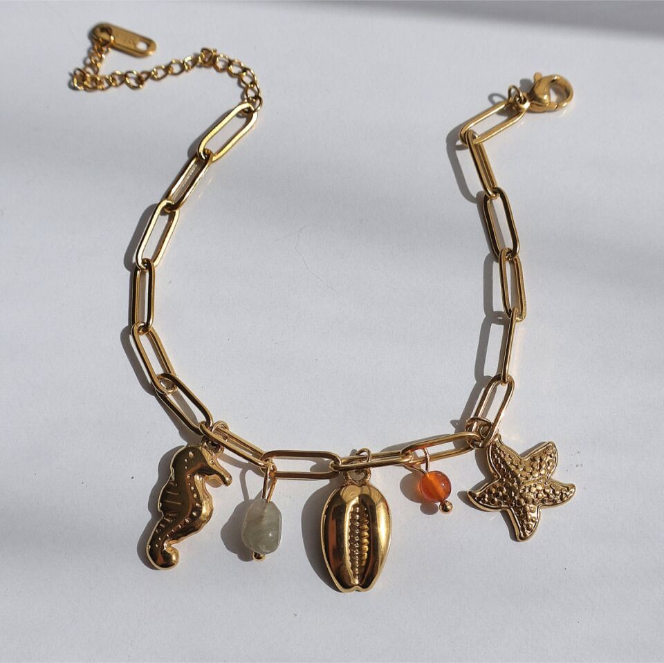 Çelik Charm Bileklik