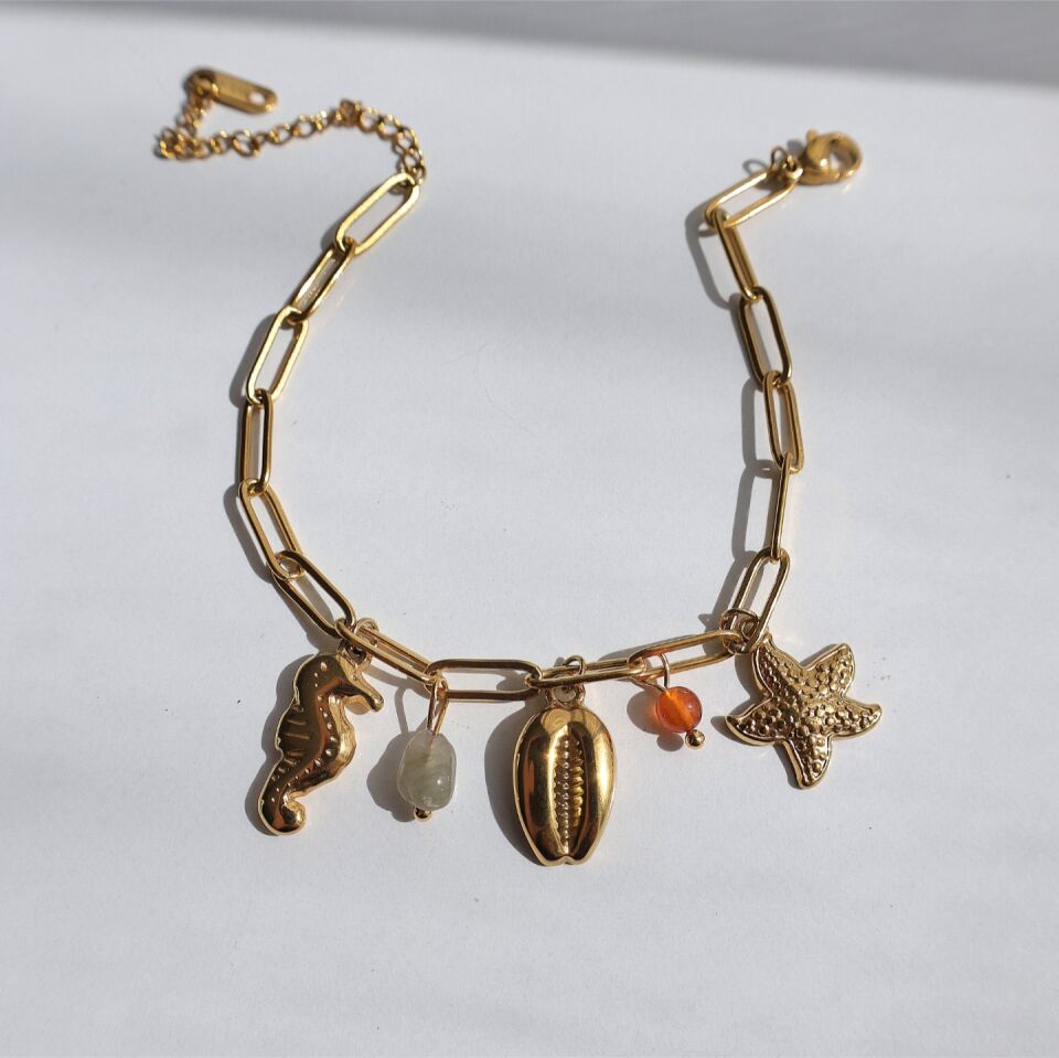 Çelik Charm Bileklik
