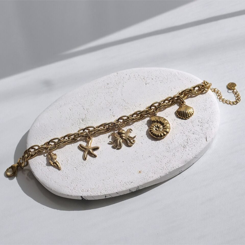 Çelik Charm Bileklik