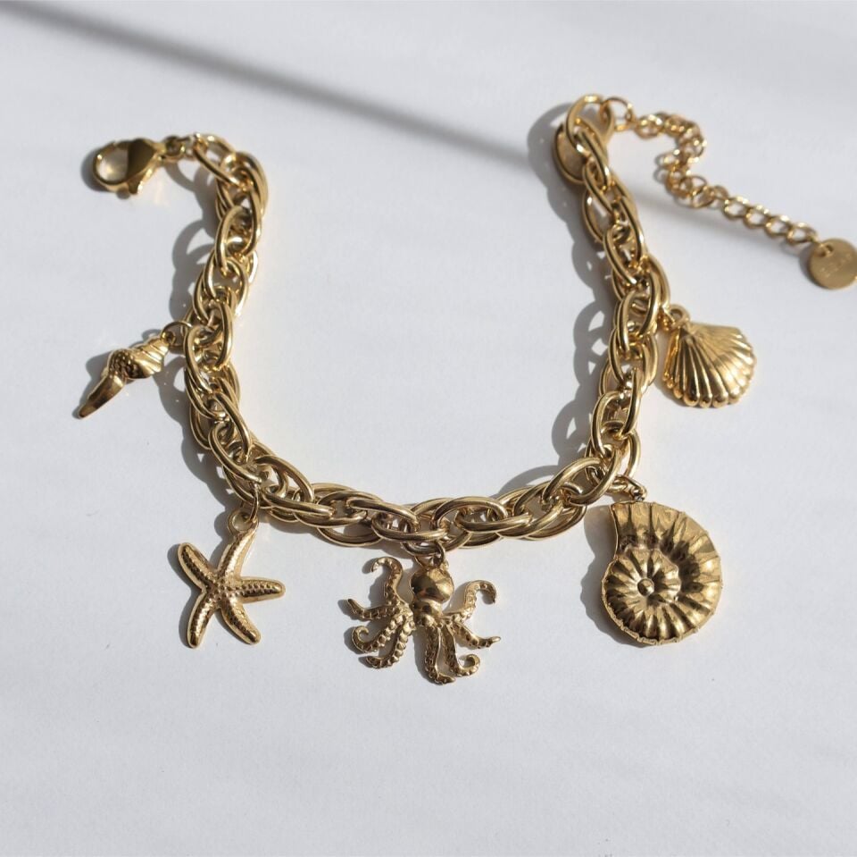 Çelik Charm Bileklik