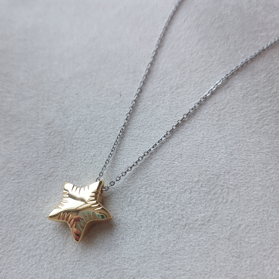 Özel Seri Yıldız Kolye