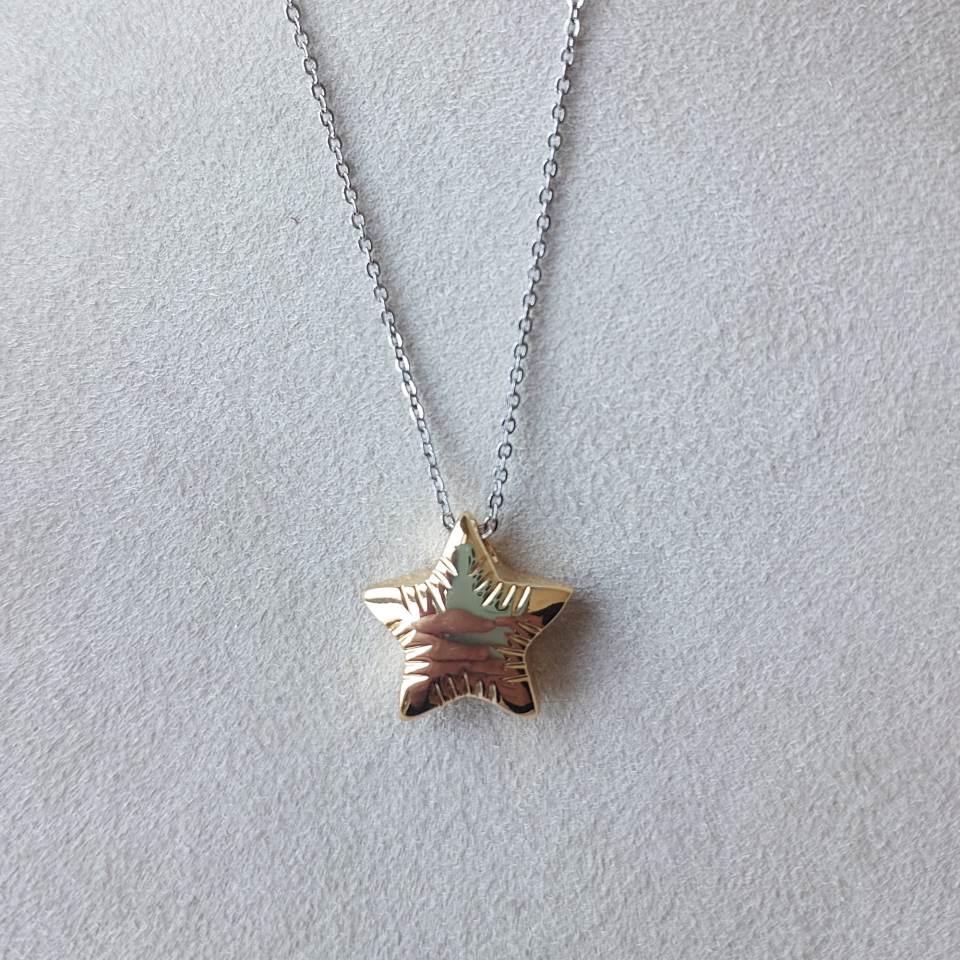 Özel Seri Yıldız Kolye