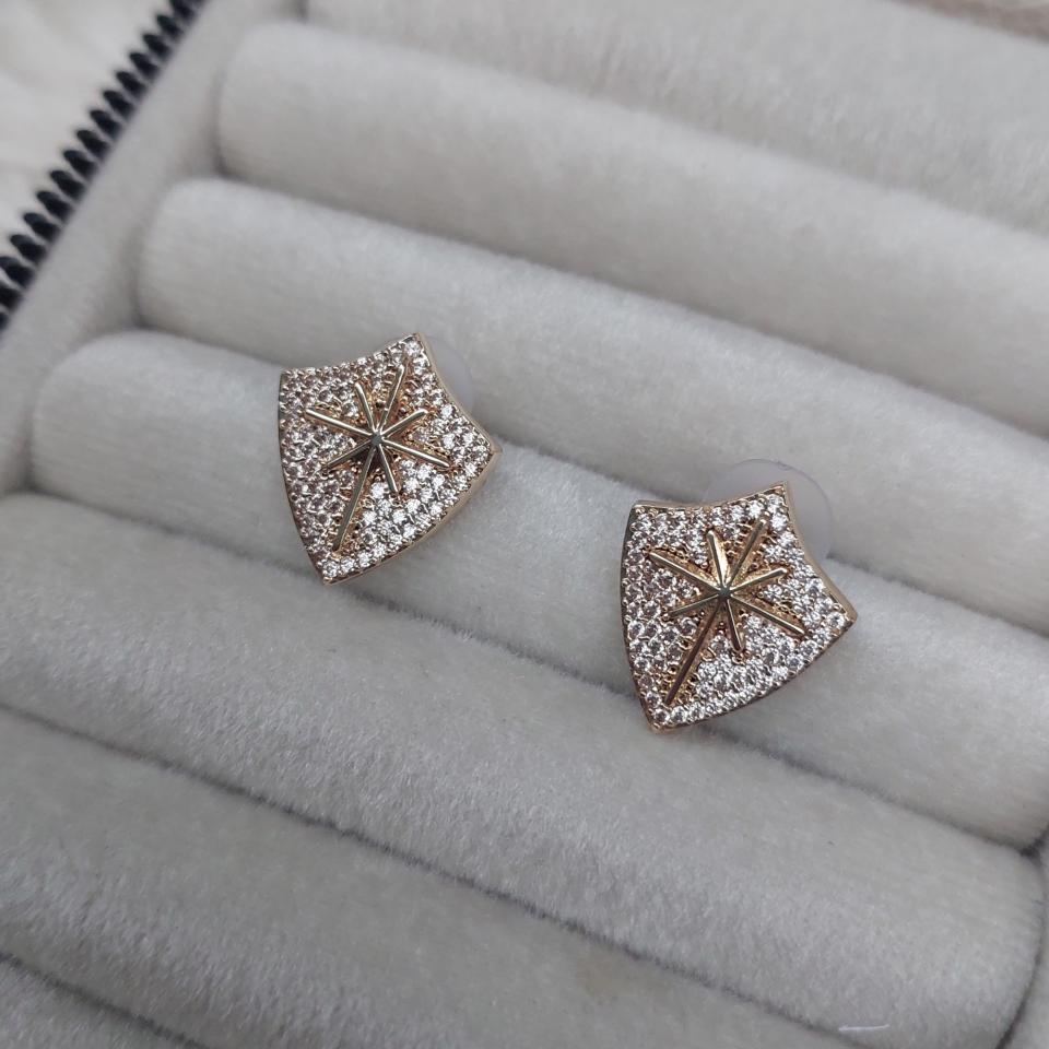 Özel Seri Yıldız Arma Küpe