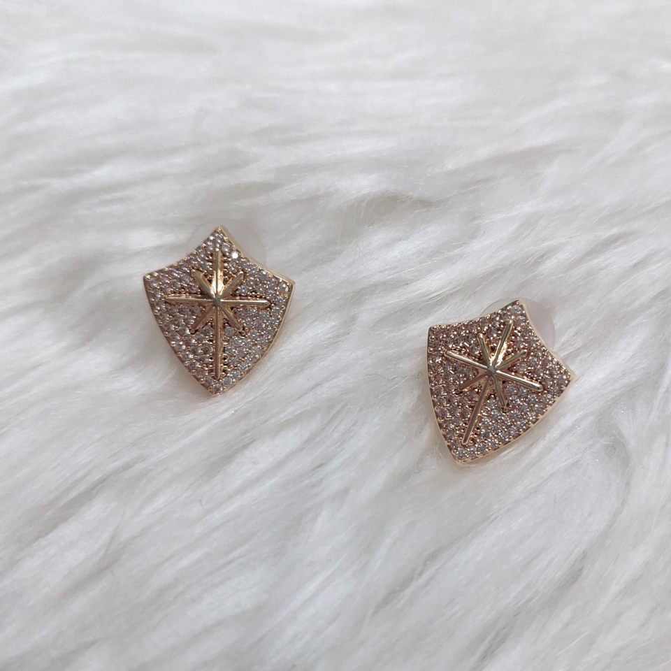 Özel Seri Yıldız Arma Küpe