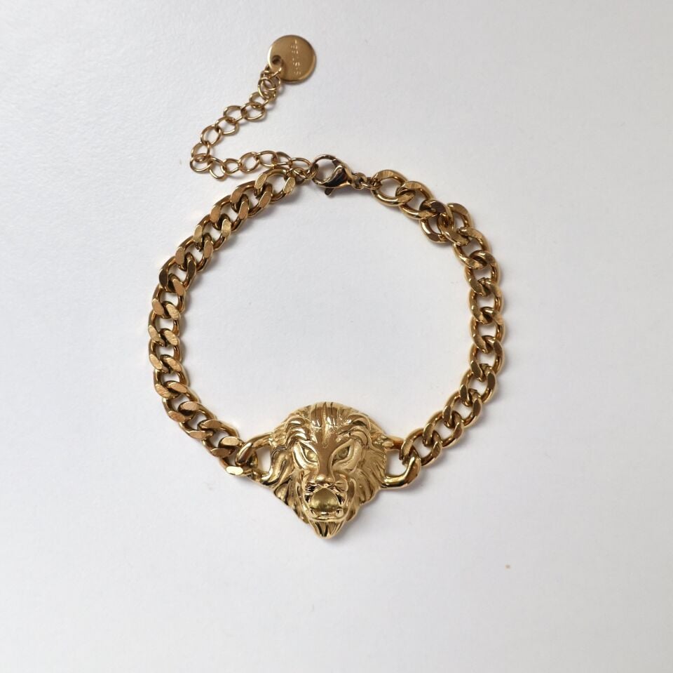 Çelik Aslan Bileklik