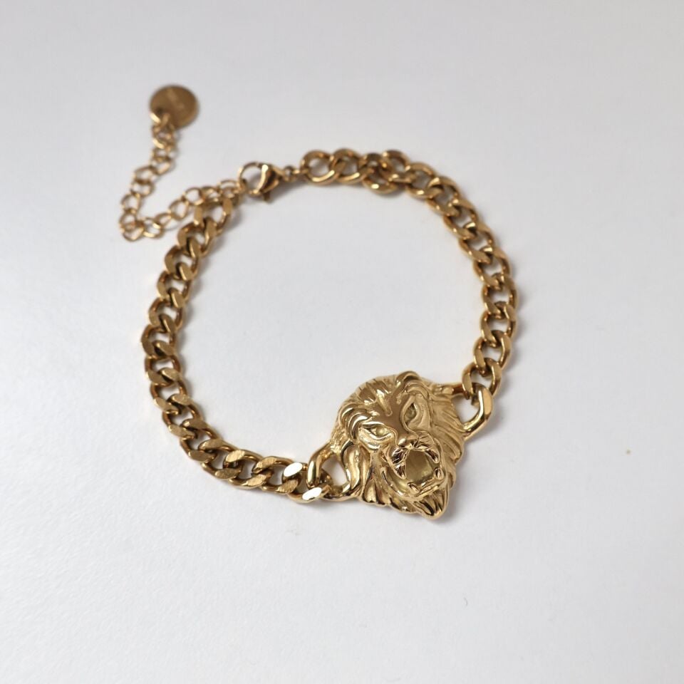 Çelik Aslan Bileklik