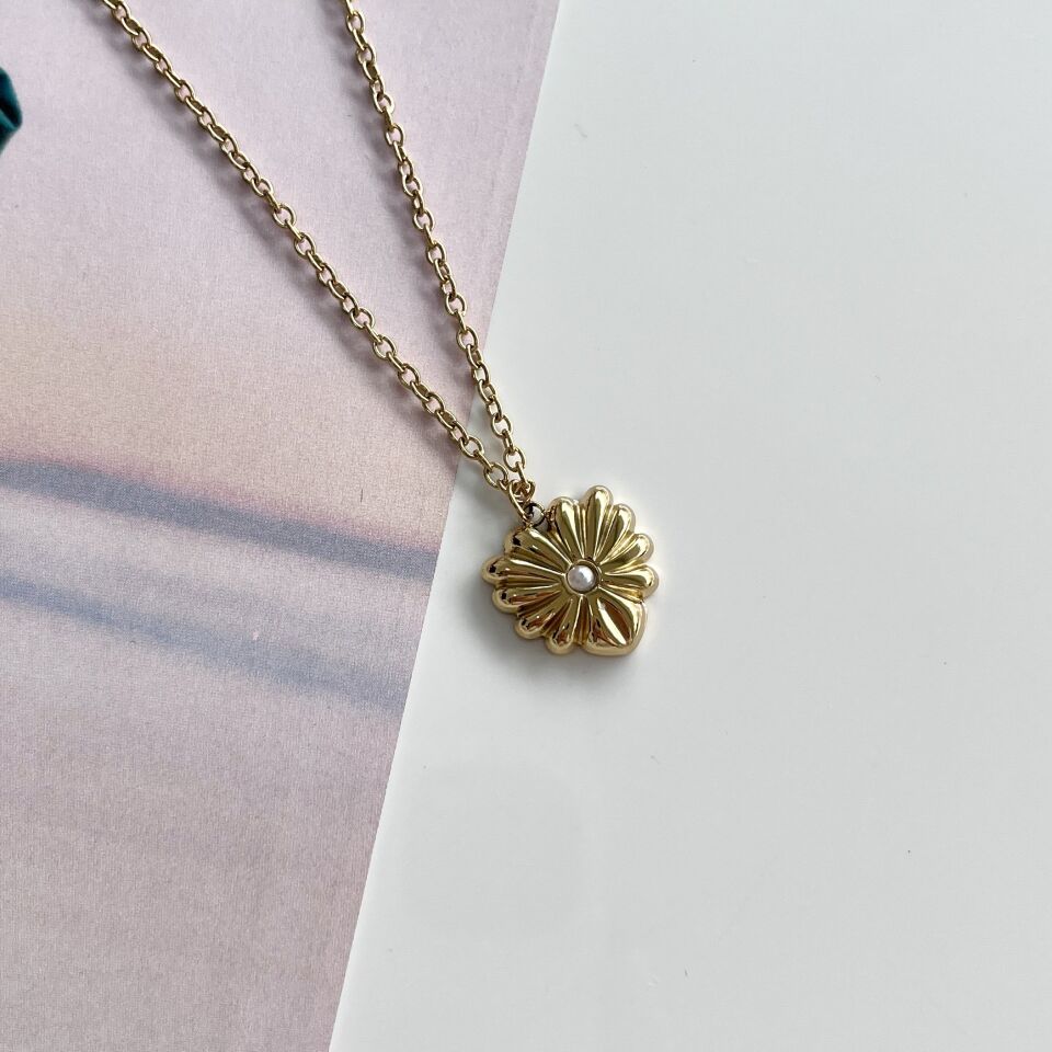 Çelik Taşlı Kalp Kolye