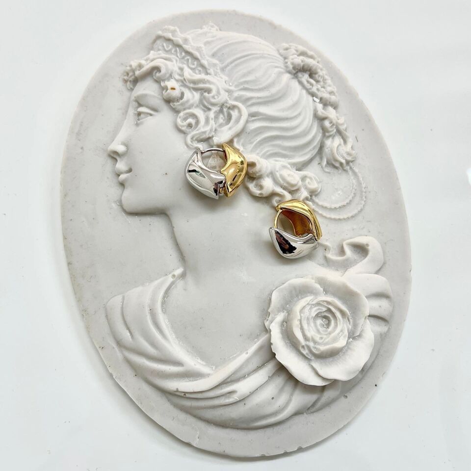 Özel Seri Çift Renk Küpe