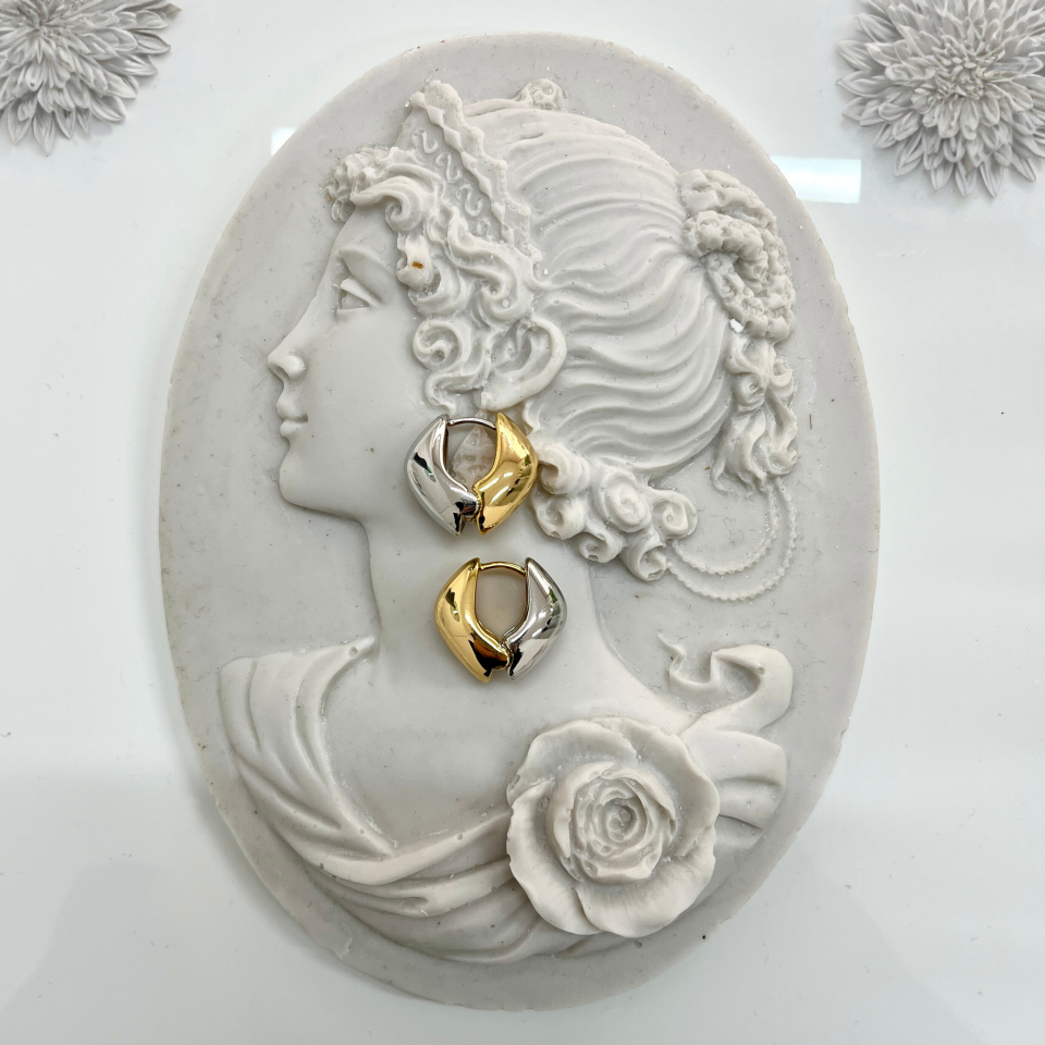 Özel Seri Çift Renk Küpe